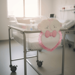 Fiocco nascita Orsi rosa. dim.25x30 - Piccole Canaglie - PC20415