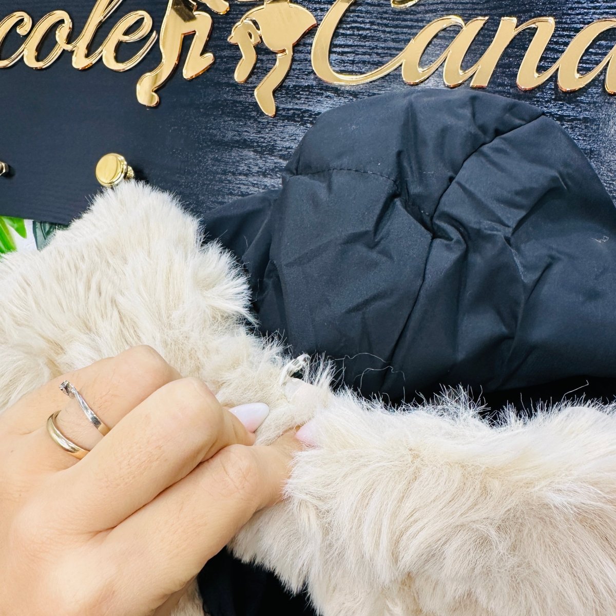 Giubbotto Angel nero - Piccole Canaglie - PC22527