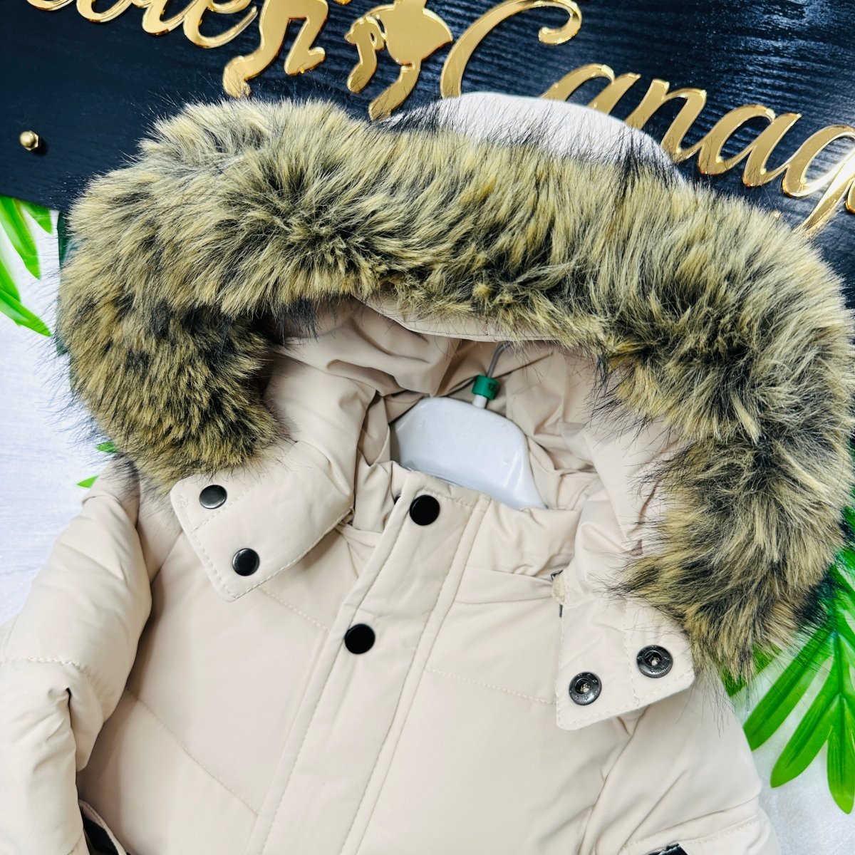 Giubbotto Urchin Beige - Piccole Canaglie - PC22892