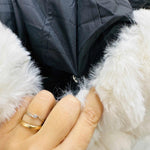 Giubbotto Vanity Nero - Piccole Canaglie - PC22064